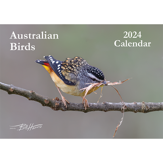 2024 Australian Birds Calendar A5 Birds in Focus