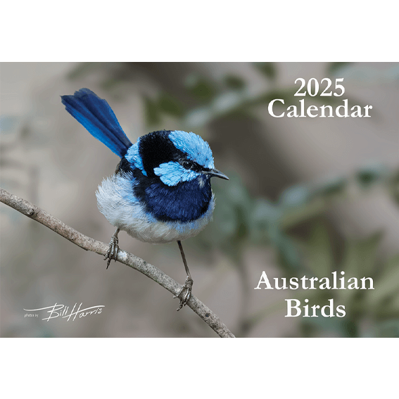 2025 Australian Bird Calendar A4 Birds in Focus